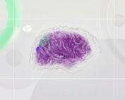 GMpicks85 - Innovazione Frugale